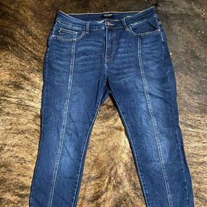 Judy Blue Skinny Jean 14W